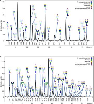 Changes in Specific Biomarkers Indicate Cardiac Adaptive and Anti-inflammatory Response of Repeated Recreational SCUBA Diving